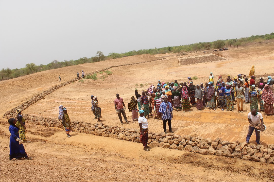 Image de l'activité