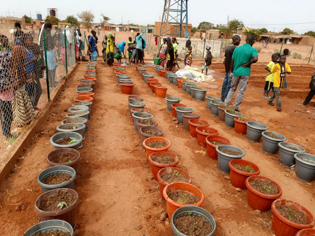 Image de l'activité